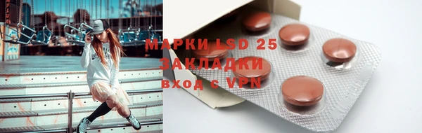 прущие грибы Белоозёрский