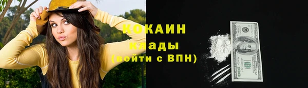 прущие грибы Белоозёрский