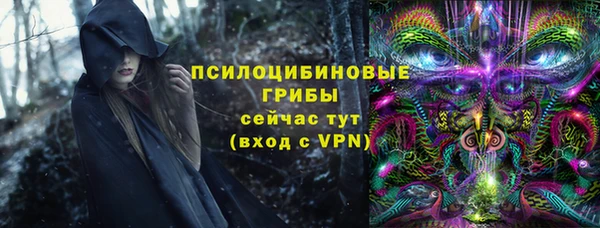 трава Беломорск
